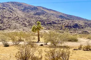 4225 Benji Ave, Joshua Tree, CA 92252 - Photo 1