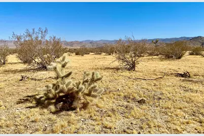 4225 Benji Avenue, Joshua Tree, CA 92252 - Photo 17