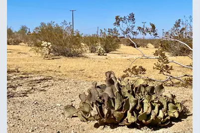 4225 Benji Avenue, Joshua Tree, CA 92252 - Photo 35