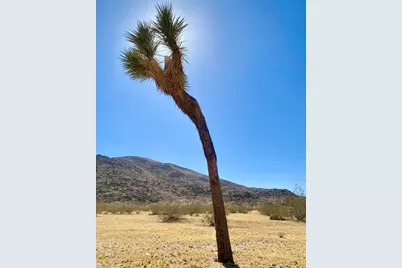 4225 Benji Avenue, Joshua Tree, CA 92252 - Photo 13