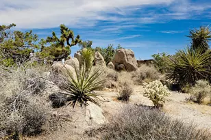 56949 Spencer Rd, Yucca Valley, CA 92284 - Photo 23