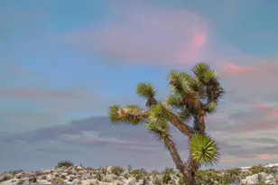 56949 Spencer Rd, Yucca Valley, CA 92284 - Photo 33
