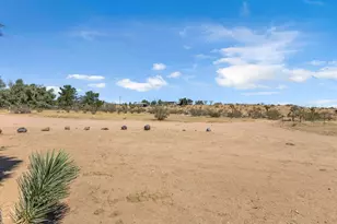 56625 Lowe Ave, Yucca Valley, CA 92284 - Photo 13