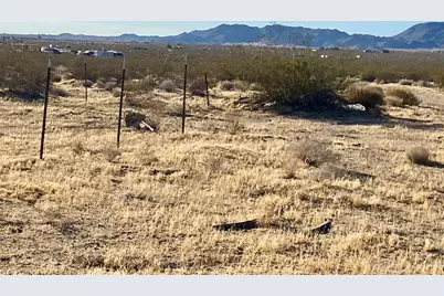 104 Joshua Tree Road, Johnson Valley, CA 92285 - Photo 25