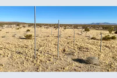 104 Joshua Tree Road, Johnson Valley, CA 92285 - Photo 13