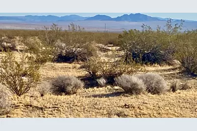 104 Joshua Tree Road, Johnson Valley, CA 92285 - Photo 35