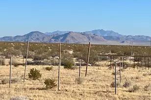 104 Joshua Tree Rd, Johnson Valley, CA 92285 - Photo 1