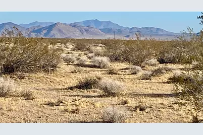 104 Joshua Tree Road, Johnson Valley, CA 92285 - Photo 23
