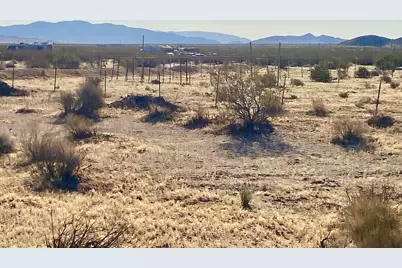 104 Joshua Tree Road, Johnson Valley, CA 92285 - Photo 39
