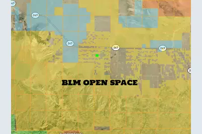 104 Joshua Tree Road, Johnson Valley, CA 92285 - Photo 55