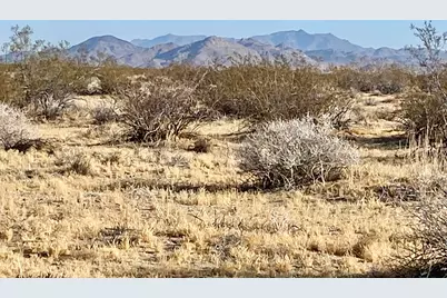 104 Joshua Tree Road, Johnson Valley, CA 92285 - Photo 5