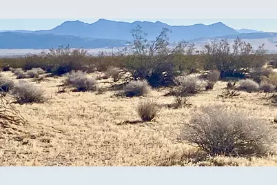 104 Joshua Tree Road, Johnson Valley, CA 92285 - Photo 47