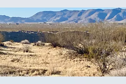 104 Joshua Tree Road, Johnson Valley, CA 92285 - Photo 33