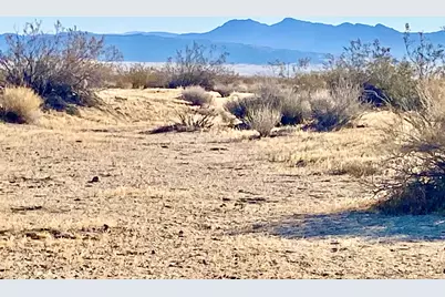 104 Joshua Tree Road, Johnson Valley, CA 92285 - Photo 51