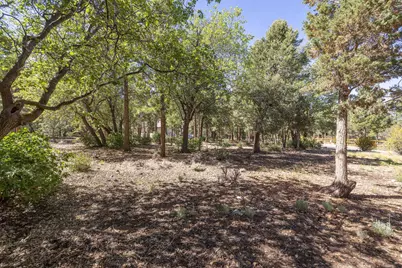 655 Cedar Glen Drive, Big Bear City, CA 92314 - Photo 3