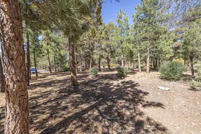 655 Cedar Glen Drive, Big Bear City, CA 92314 - Photo 11