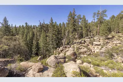 32311 Rim Of The World Drive, Fawnskin, CA 92333 - Photo 9