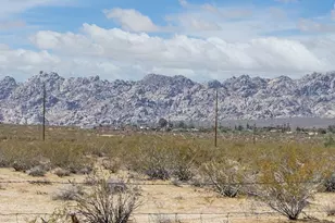 5316 Pearl Springs Ave, Twentynine Palms, CA 92277 - Photo 3