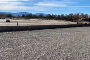 24101 Rice Rd, Desert Center, CA 92239 - Photo 5