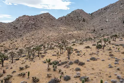 8021 Wesley Road, Joshua Tree, CA 92252 - Photo 19