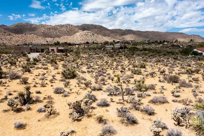 207 Onaga Trail, Joshua Tree, CA 92252 - Photo 5