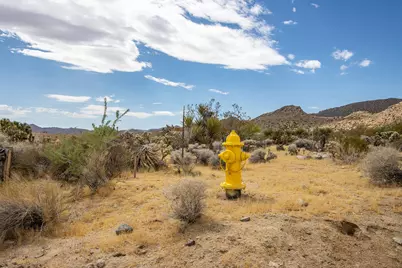 207 Onaga Trail, Joshua Tree, CA 92252 - Photo 3