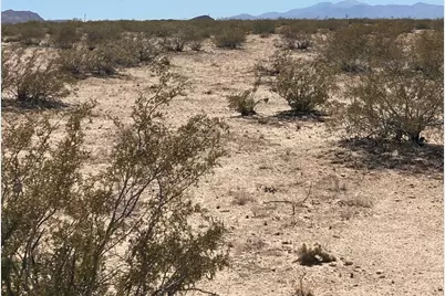 66055 Mars Drive, Joshua Tree, CA 92252 - Photo 3