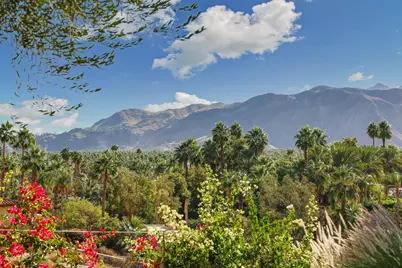 1716 Ridge Road, Palm Springs, CA 92264 - Photo 29