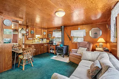 25145 Fern Valley Road, Idyllwild, CA 92549 - Photo 3