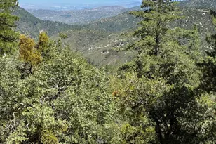 24930 Pine Cove Rd, Idyllwild, CA 92549 - Photo 11