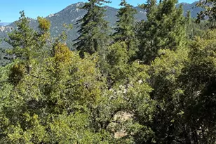 24930 Pine Cove Rd, Idyllwild, CA 92549 - Photo 9
