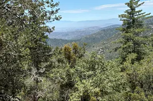 24930 Pine Cove Rd, Idyllwild, CA 92549 - Photo 3