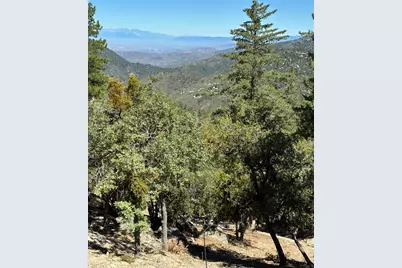24930 Pine Cove Road, Idyllwild, CA 92549 - Photo 7
