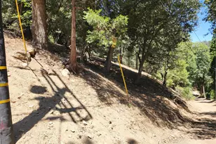 0 Burnt Mill Canyon Rd, Cedarpines Park, CA 92322 - Photo 1