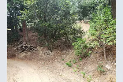 0 Fern Canyon Road, Crestline, CA 92325 - Photo 1