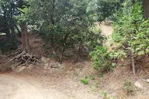 0 Fern Canyon Rd, Crestline, CA 92325 - Photo 1