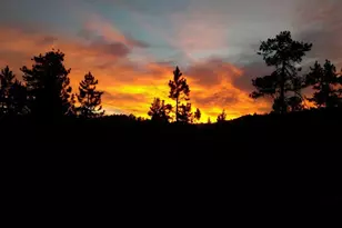 1087 Brookside Ln, Fawnskin, CA 92333 - Photo 9