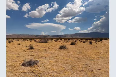 5 Brody, Johnson Valley, CA 92285 - Photo 3