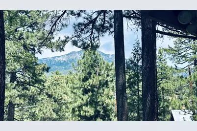 52955 Fern Land Drive, Idyllwild, CA 92549 - Photo 25