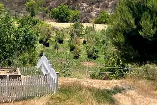37245 Valgio Dr, Calimesa, CA 92320 - Photo 15