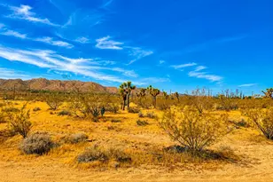 0 Rockwood Rd, Joshua Tree, CA 92252 - Photo 1