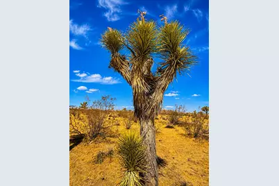 0 Rockwood Road, Joshua Tree, CA 92252 - Photo 3