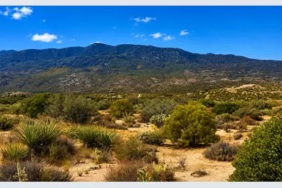 217 Chalet Drive, Mountain Center, CA 92561 - Photo 3