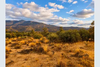 529 Saint Bernard Drive, Mountain Center, CA 92561 - Photo 9