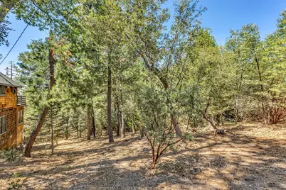 24701 Schaffer Drive, Idyllwild, CA 92549 - Photo 29
