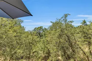 24701 Schaffer Dr., Idyllwild, CA 92549 - Photo 25