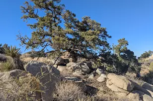 Lot 84 Mountain Park Rd, Mountain Center, CA 92561 - Photo 1