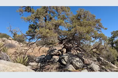 Lot 84 Mountain Park Road, Mountain Center, CA 92561 - Photo 11