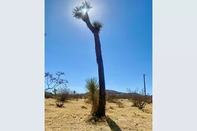109 Border Avenue, Joshua Tree, CA 92252 - Photo 35