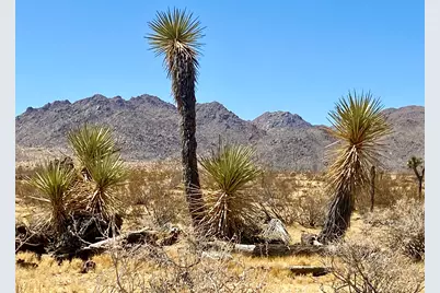 109 Border Avenue, Joshua Tree, CA 92252 - Photo 11